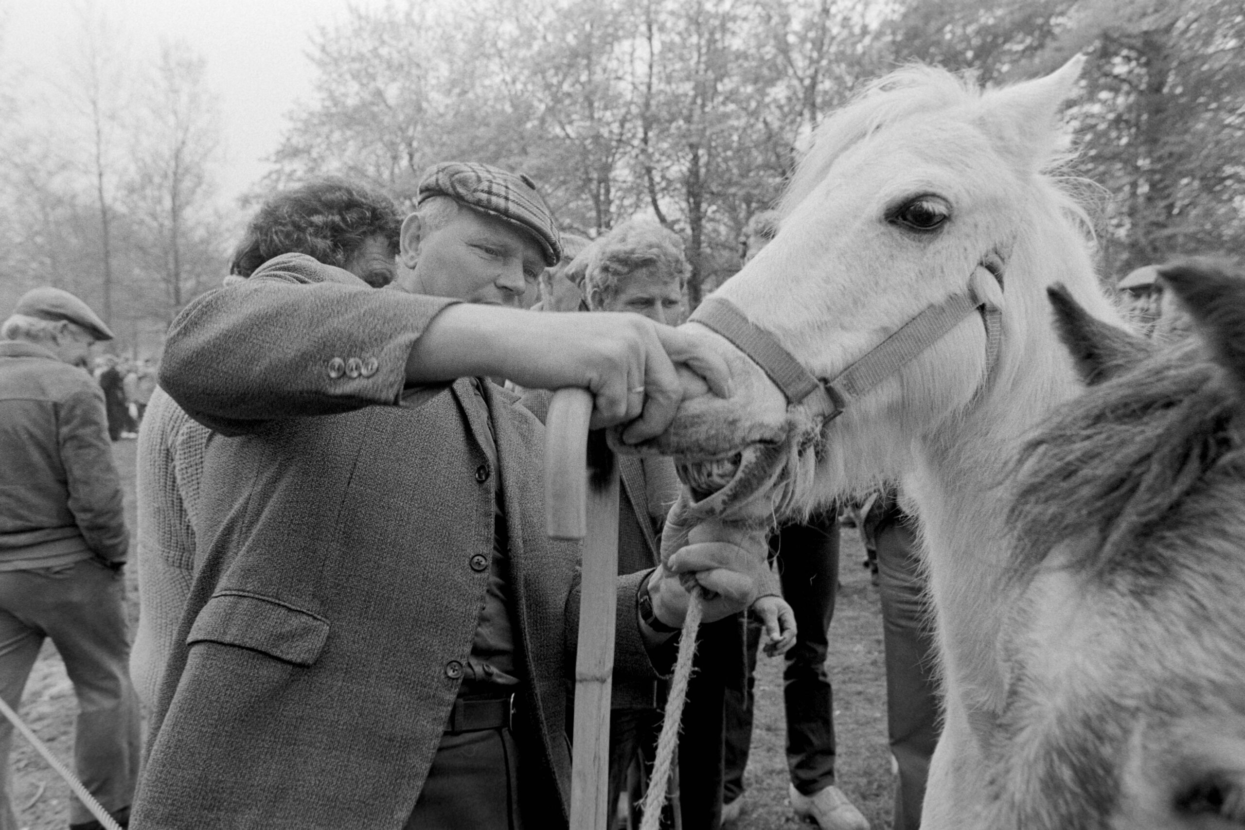 Nederland - Drenthe - Dwingeloo - 09-05 -1983
Dwingeloo rmarkt, paarden en ander vee.
Foto: Sake Elzinga
