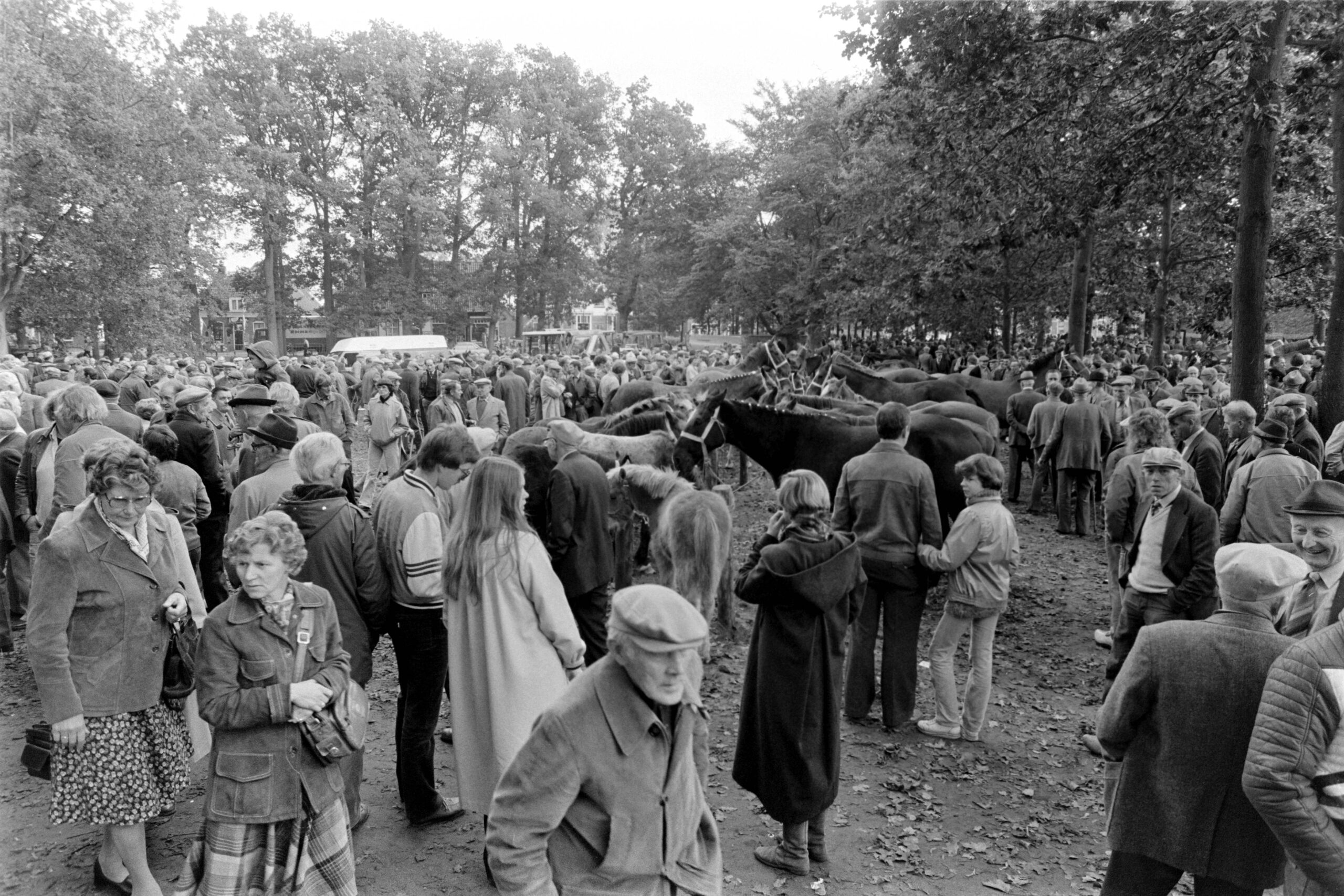 Nederland - Drenthe - Dwingeloo 1980- 10 -13
Dwingeloo jaarlijkse vee markt.
Foto: Sake Elzinga