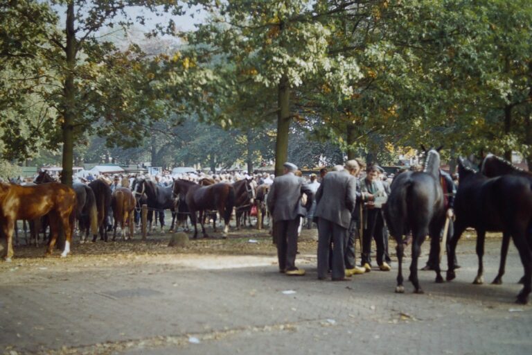 Wil je nostalgisch gekleed naar de Dwingelermarkt maar heb je nog geen kleding?